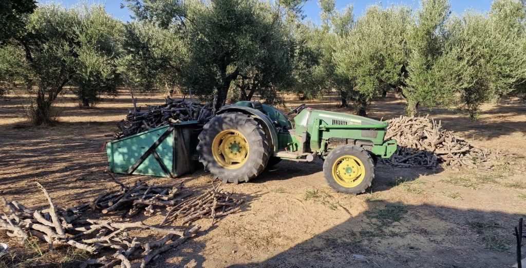 traktor pri spracovani olivovych paliciek